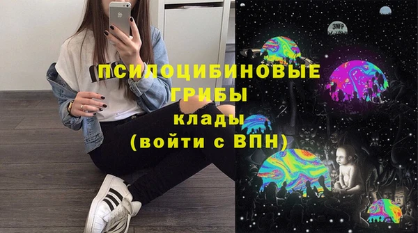 а пвп мука Новозыбков