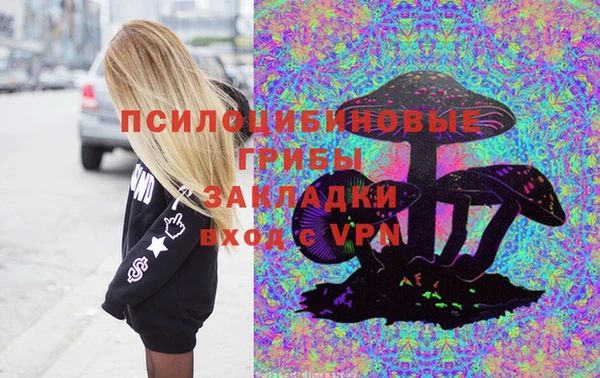 мескалин Новодвинск