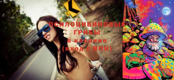 а пвп мука Новозыбков