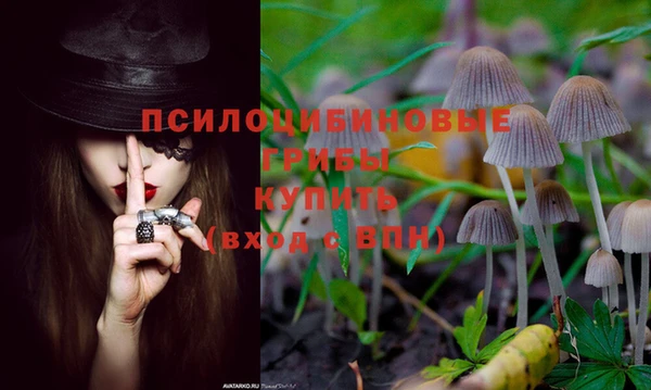 ГАЛЛЮЦИНОГЕННЫЕ ГРИБЫ Новокубанск