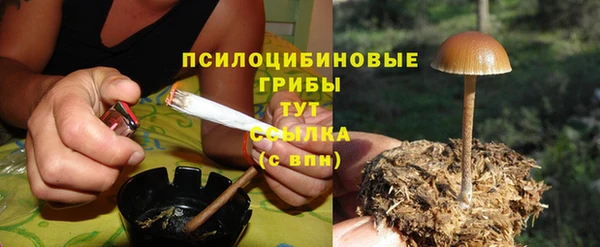 а пвп мука Новозыбков